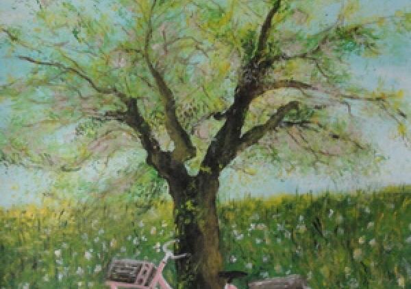Grasveld met boom en een fiets ervoor