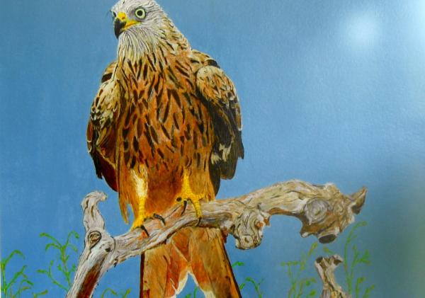 Schilderij van een vogel