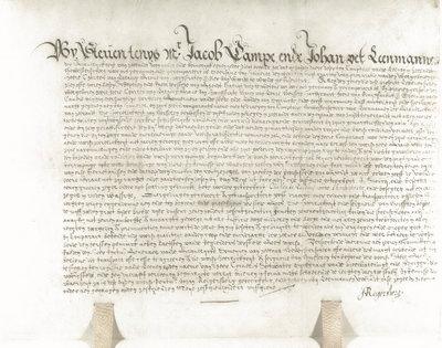 Charter over de tenaamstelling van de heerlijkheid Borssele, ASG 1566