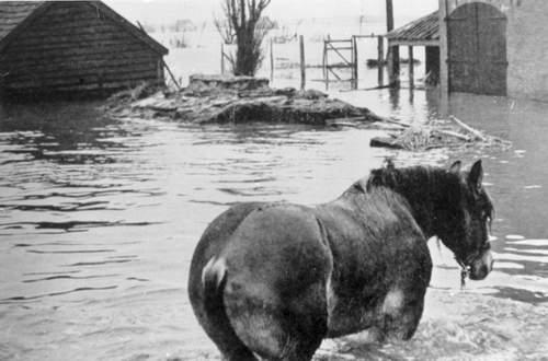 Foto van een paart die door het hoge water loopt
