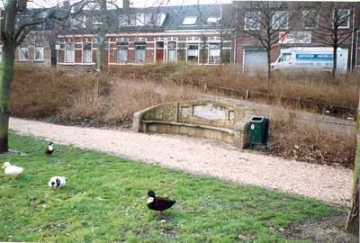 Jubileumbank aan de Oostwal met wat eenden op het gras ervoor