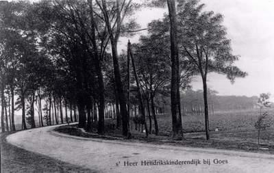 Landweg met bomen erlangs