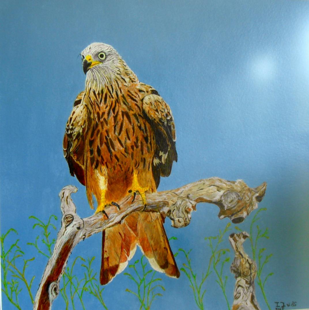 Schilderij van een vogel