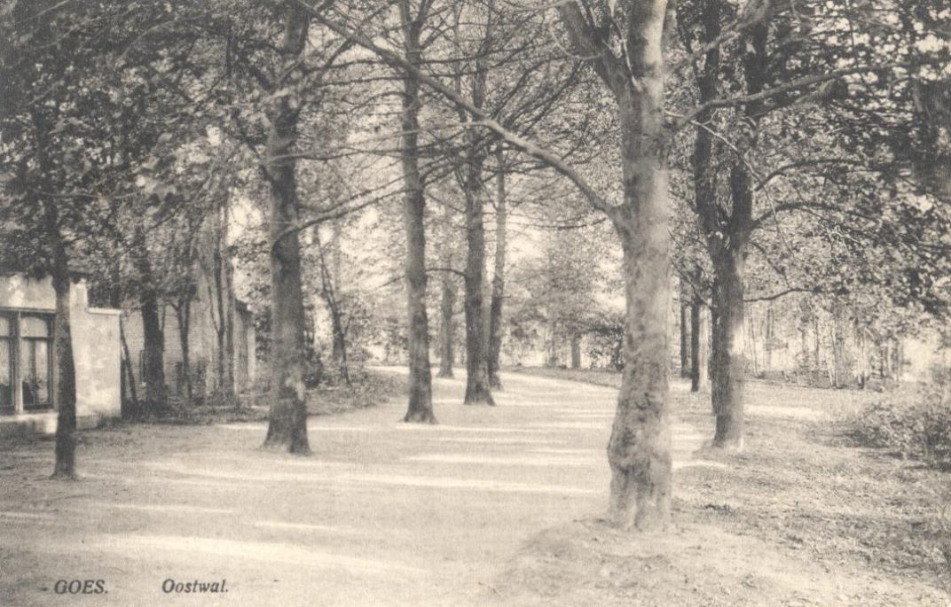 Bomen langs het pad aan de Oostwal in 1914