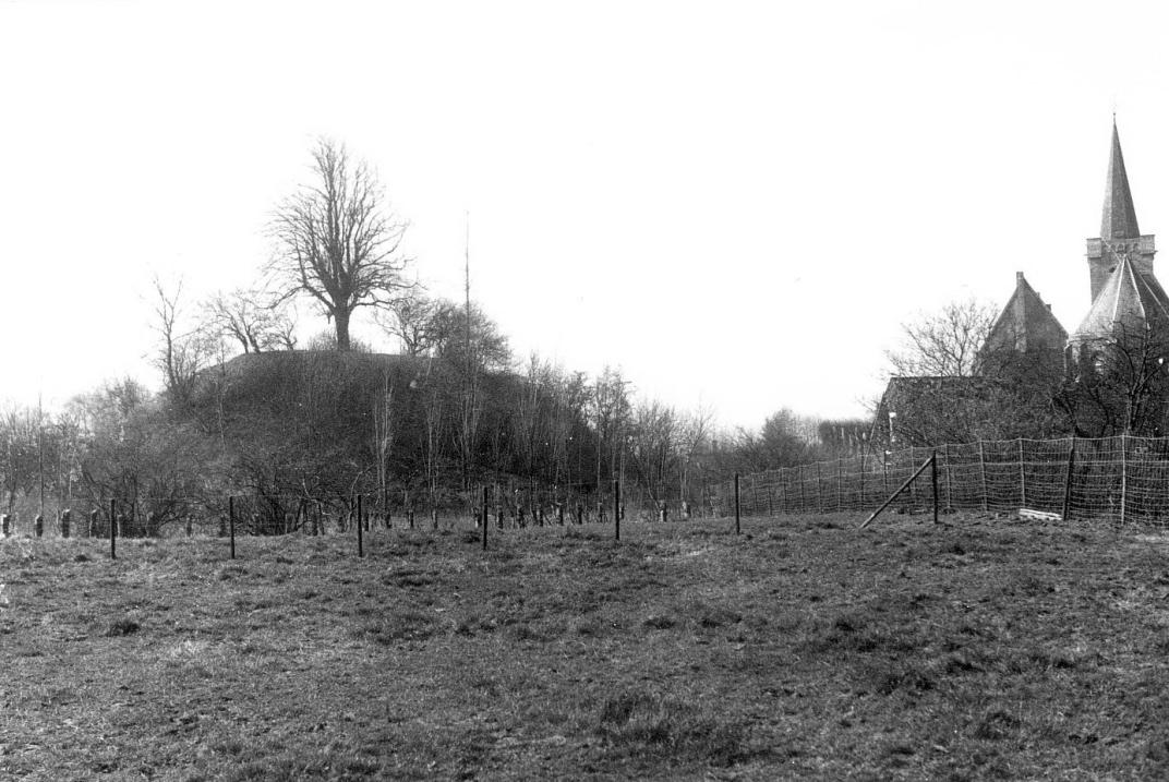 Foto van het landschap, rechts komt de kerktoren boven de boom uit