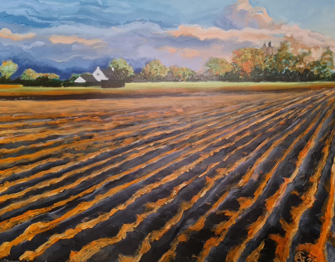 Landschap